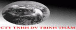 CTY DICH VU TRINH THAM