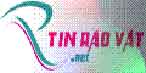 TIN RAO VAT